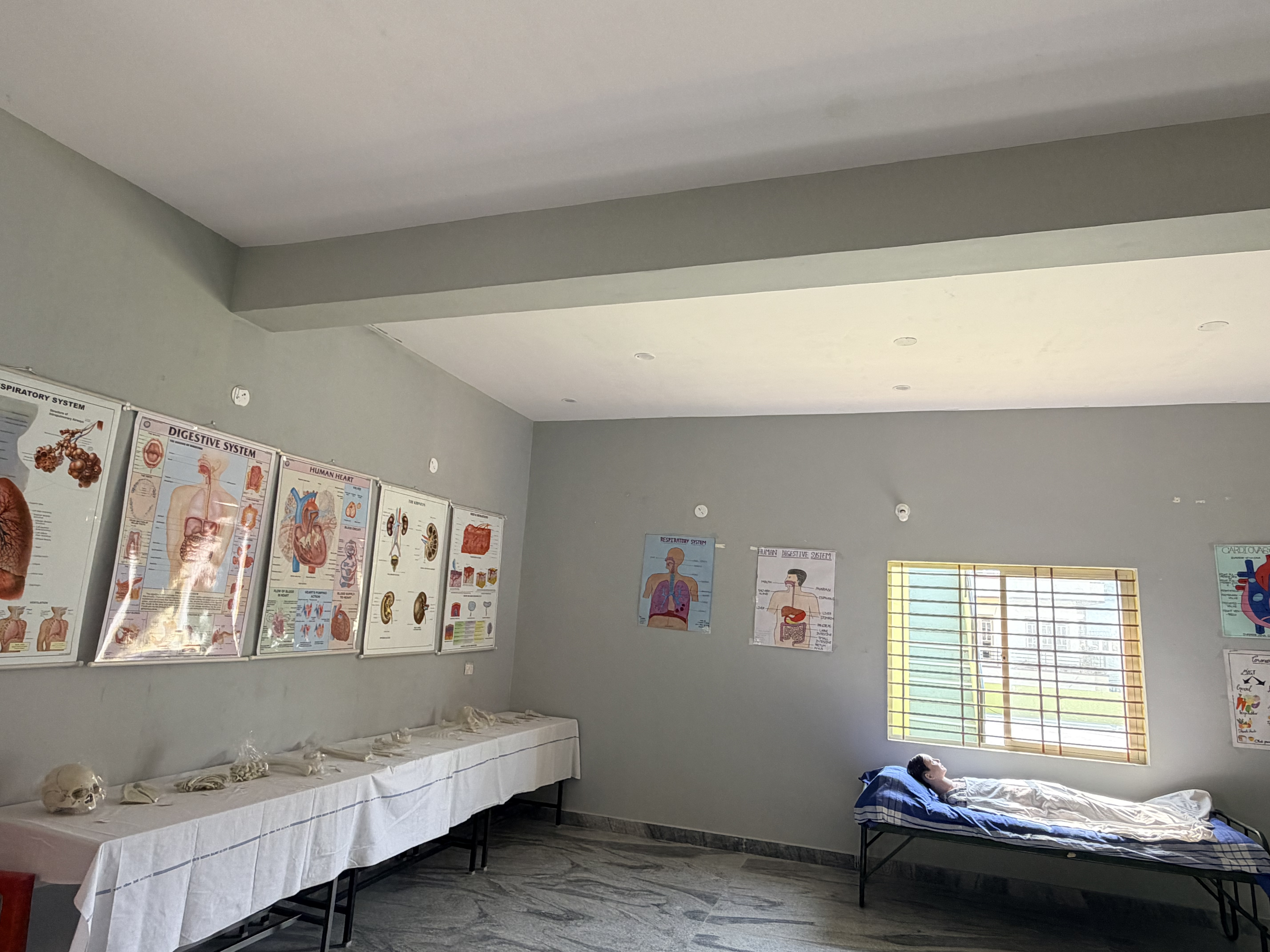 Gallery 5